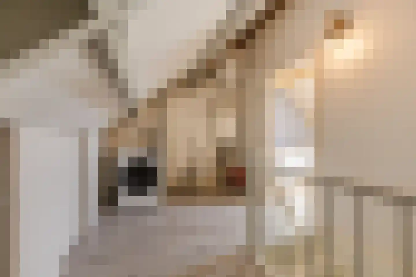 Hoeksestraat 45 Rijen thumbnail 39