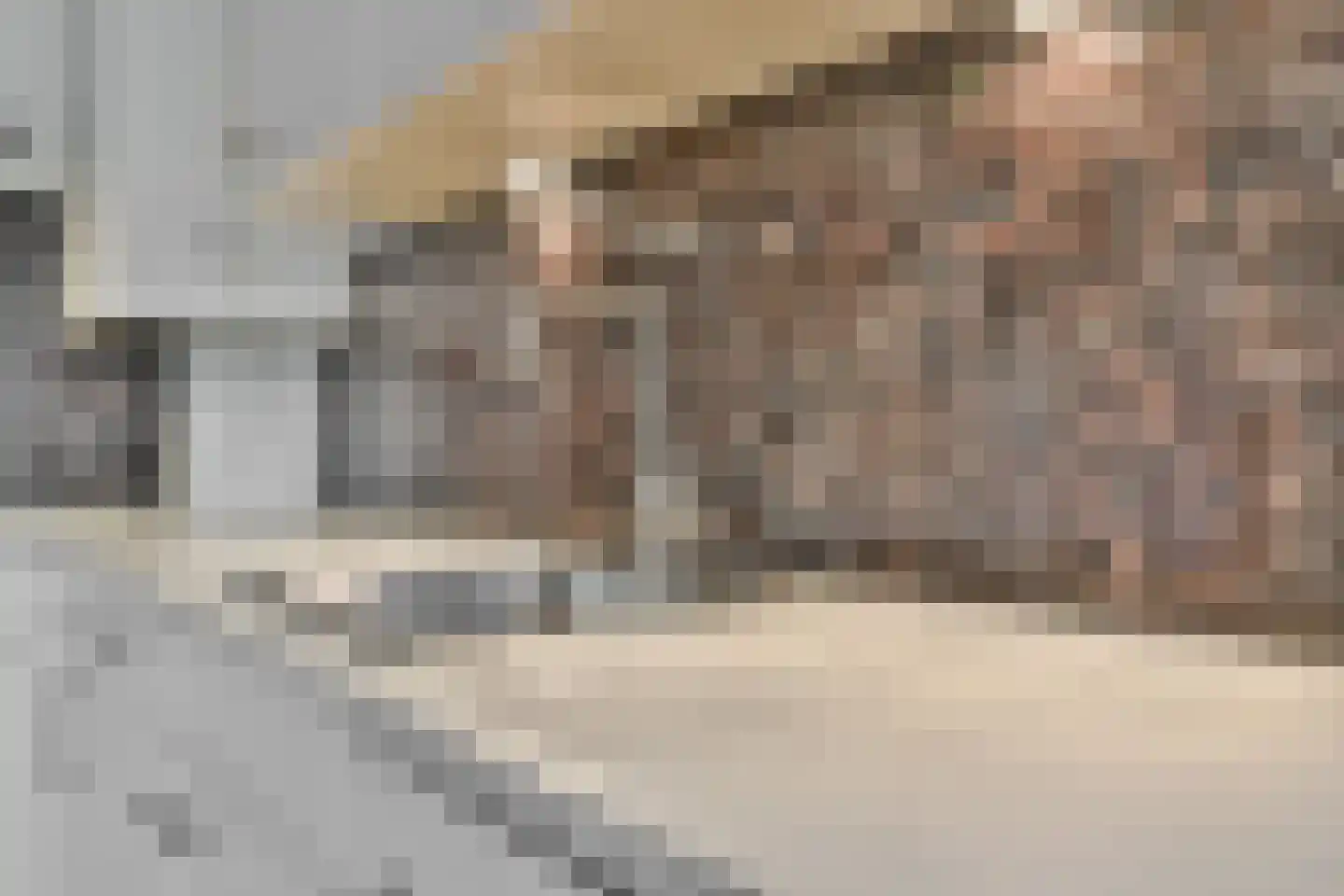 Hoeksewaard 117 Amstelveen thumbnail 12