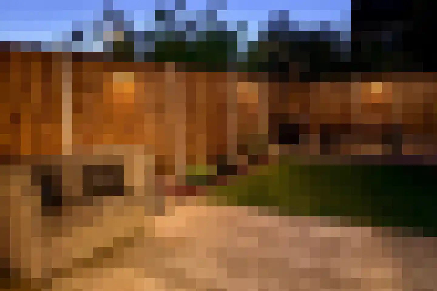 Hoeksewaard 2 Amstelveen thumbnail 29