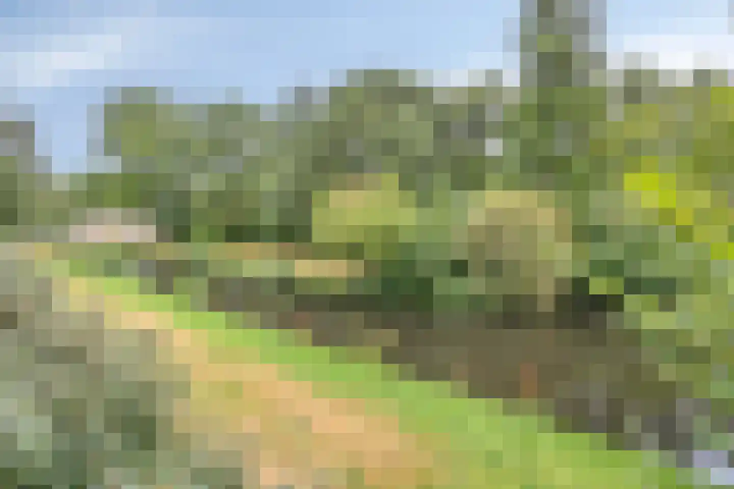 Hoeksewaard 27 Amstelveen thumbnail 23