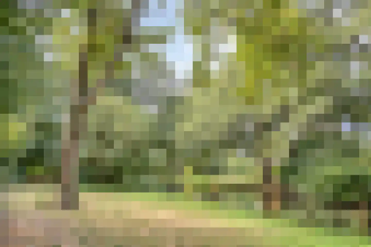 Hoeksewaard 27 Amstelveen thumbnail 25