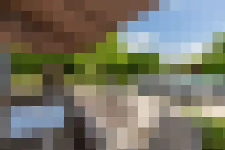 Hoekseweg 7 Kapelle thumbnail 10