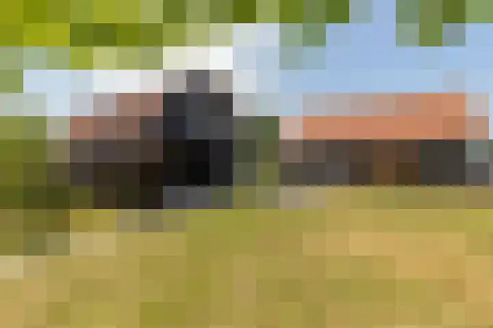 Hoekseweg 7 Kapelle thumbnail 12