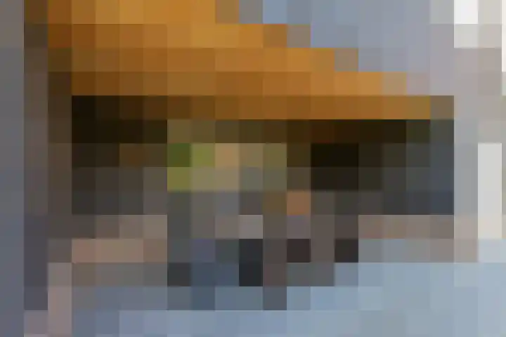 Hoekseweg 7 Kapelle thumbnail 13