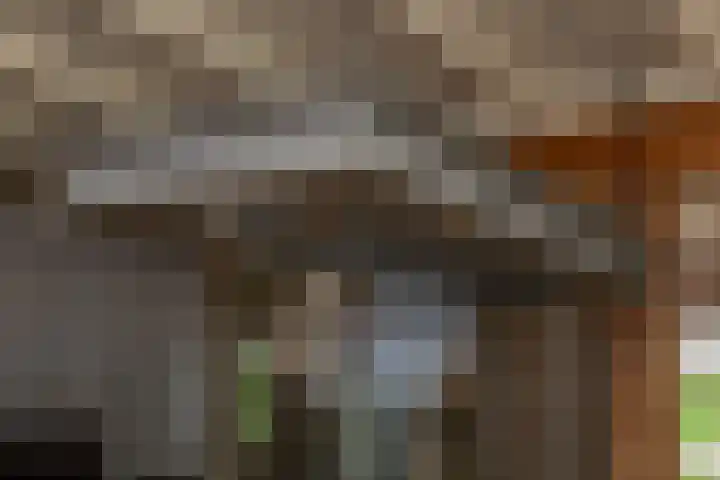 Hoekseweg 7 Kapelle thumbnail 20