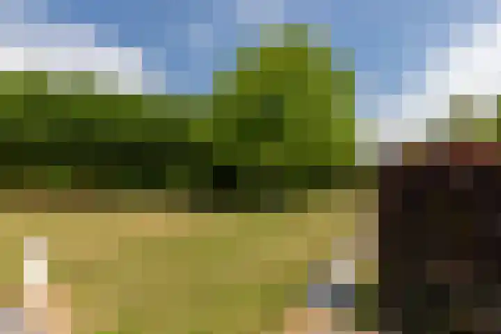 Hoekseweg 7 Kapelle thumbnail 6