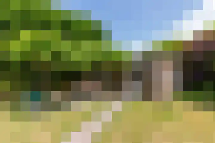 Hoekseweg 7 Kapelle thumbnail 61