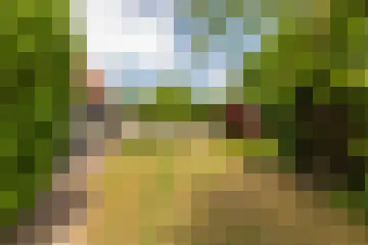Hoekseweg 7 Kapelle thumbnail 69