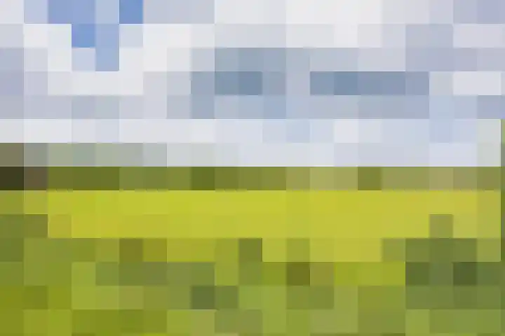 Hoeksterpaed 15 Hurdegaryp thumbnail 10