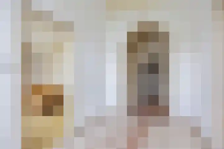 Hoeksterpaed 15 Hurdegaryp thumbnail 15