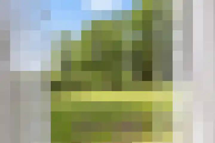 Hoeksterpaed 15 Hurdegaryp thumbnail 17