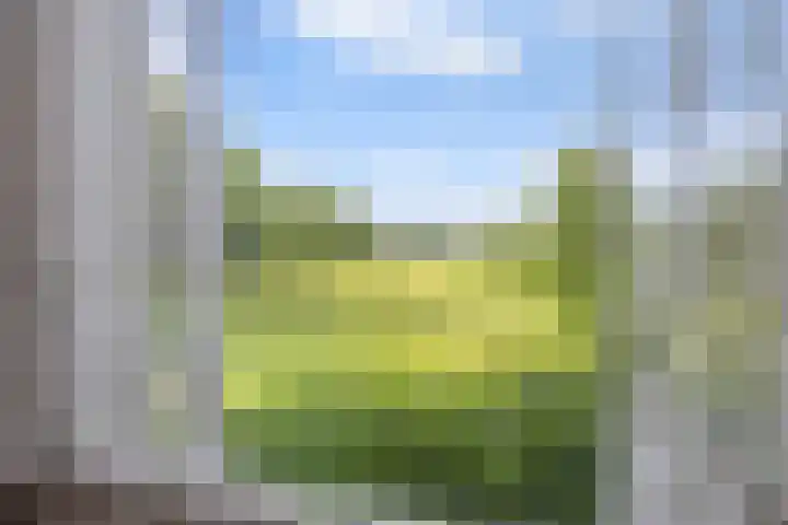 Hoeksterpaed 15 Hurdegaryp thumbnail 18