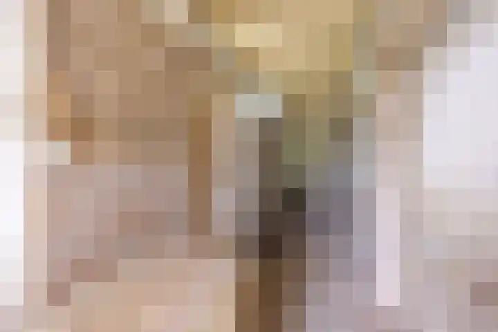 Hoeksterpaed 15 Hurdegaryp thumbnail 24