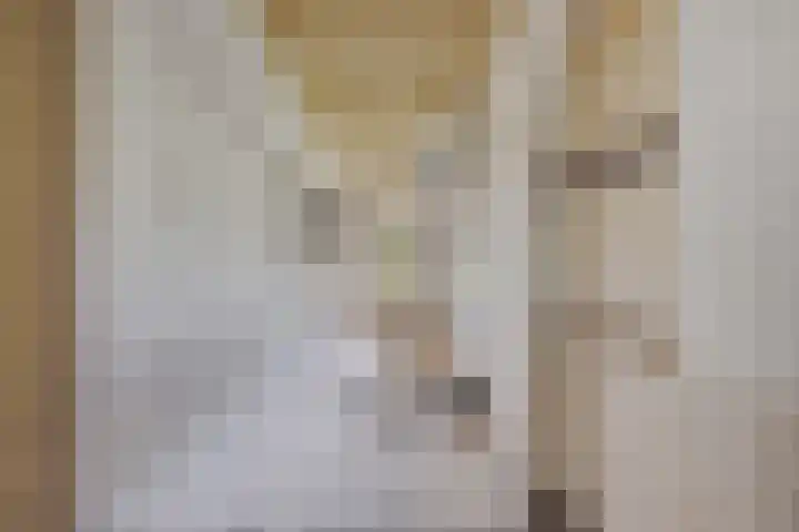 Hoeksterpaed 15 Hurdegaryp thumbnail 25