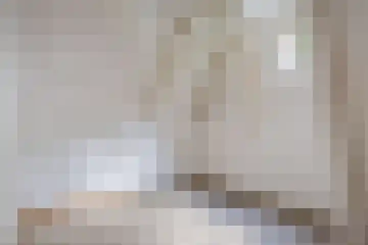 Hoeksterpaed 15 Hurdegaryp thumbnail 26