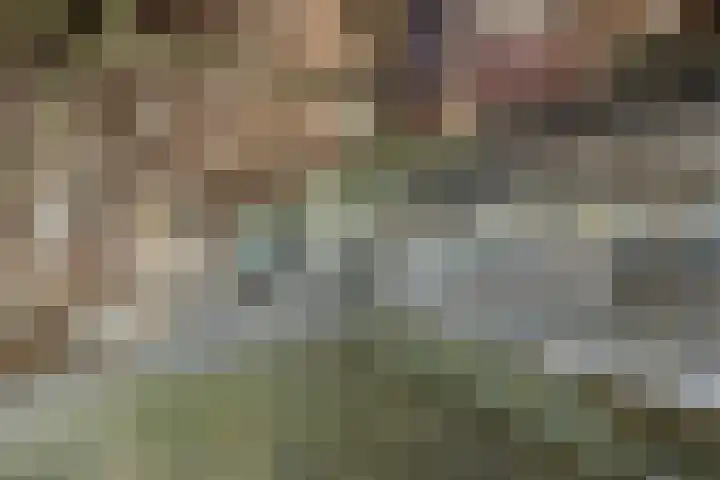Hoeksterpaed 15 Hurdegaryp thumbnail 31
