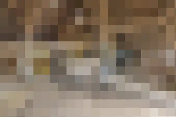 Hoeksterpaed 15 Hurdegaryp thumbnail 34