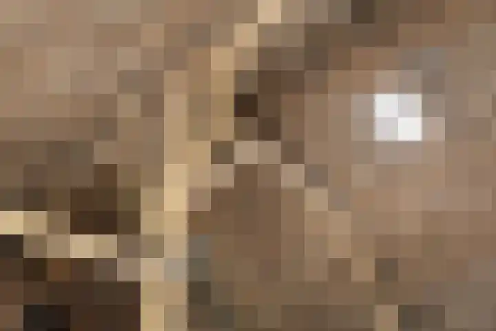 Hoeksterpaed 15 Hurdegaryp thumbnail 35