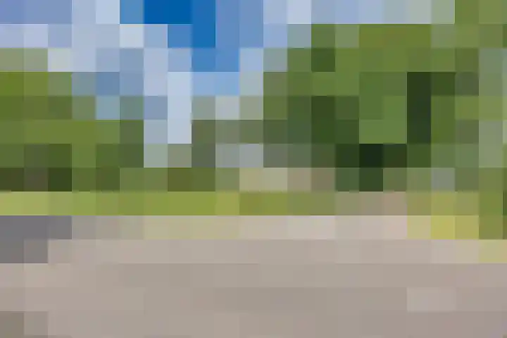 Hoeksterpaed 15 Hurdegaryp thumbnail 36