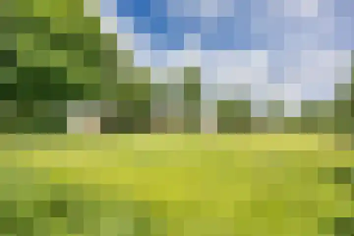 Hoeksterpaed 15 Hurdegaryp thumbnail 37