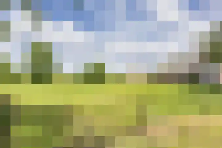 Hoeksterpaed 15 Hurdegaryp thumbnail 39