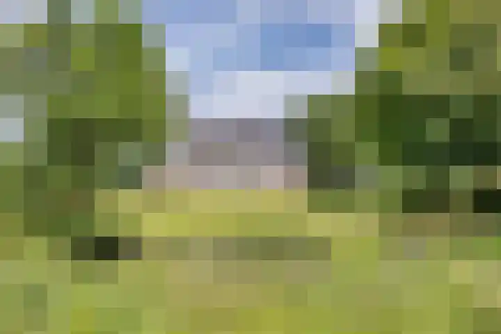 Hoeksterpaed 15 Hurdegaryp thumbnail 4