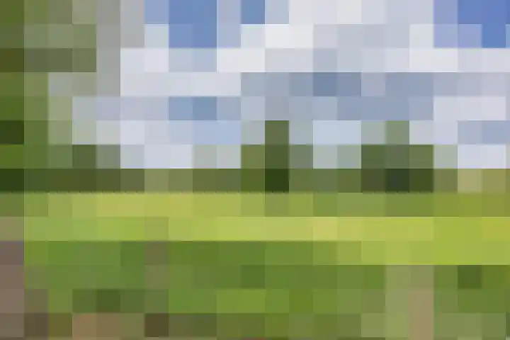 Hoeksterpaed 15 Hurdegaryp thumbnail 40