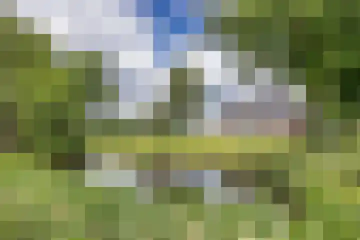 Hoeksterpaed 15 Hurdegaryp thumbnail 42