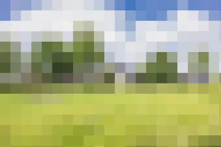 Hoeksterpaed 15 Hurdegaryp thumbnail 43