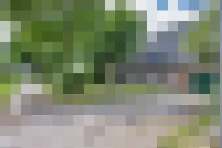 Hoeksterpaed 15 Hurdegaryp thumbnail 44