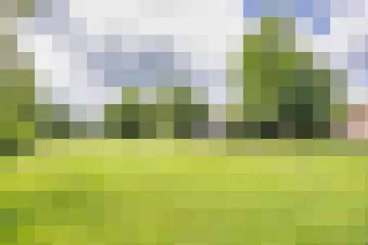 Hoeksterpaed 15 Hurdegaryp thumbnail 45