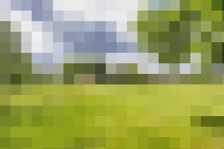 Hoeksterpaed 15 Hurdegaryp thumbnail 46