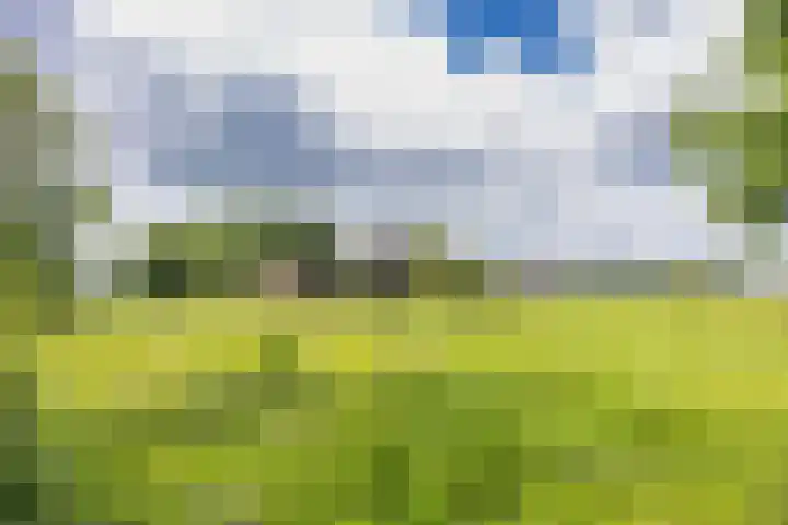 Hoeksterpaed 15 Hurdegaryp thumbnail 47