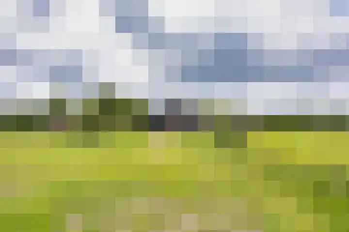 Hoeksterpaed 15 Hurdegaryp thumbnail 48