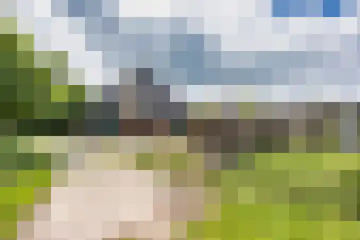 Hoeksterpaed 15 Hurdegaryp thumbnail 49