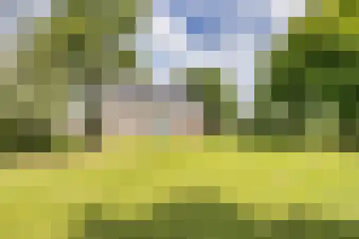 Hoeksterpaed 15 Hurdegaryp thumbnail 5