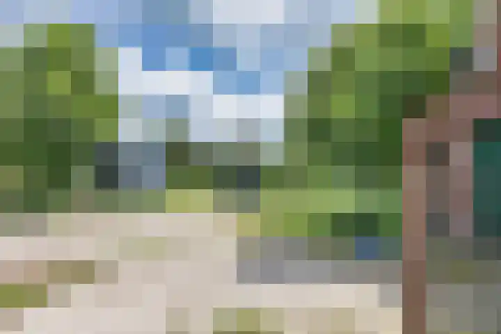 Hoeksterpaed 15 Hurdegaryp thumbnail 50