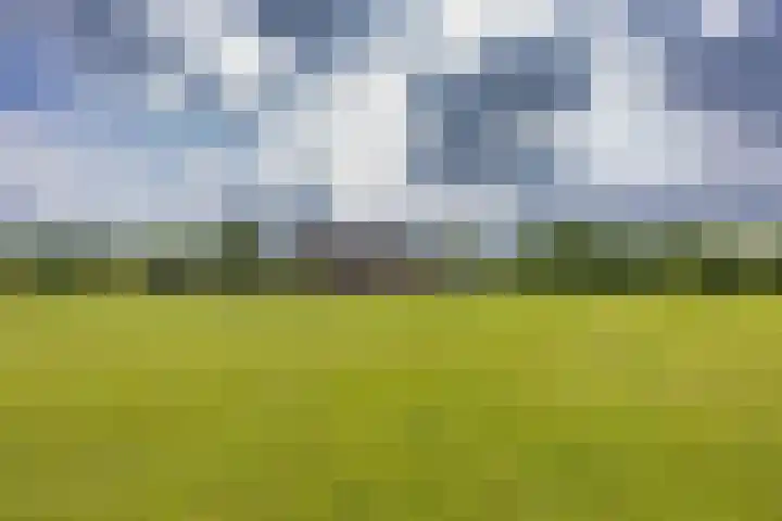 Hoeksterpaed 15 Hurdegaryp thumbnail 51