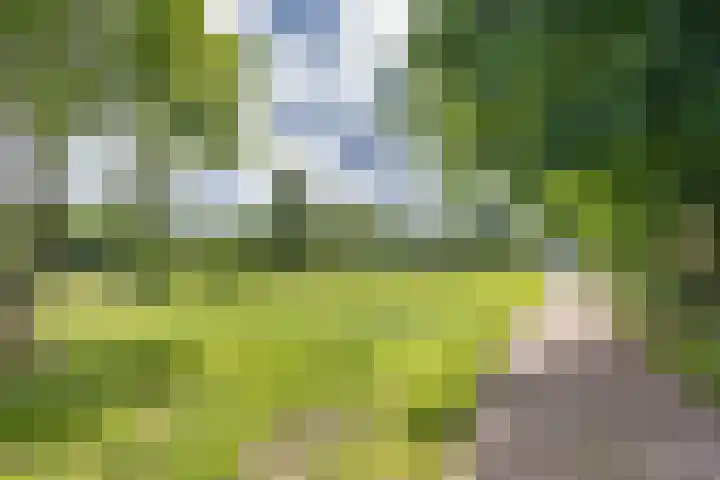 Hoeksterpaed 15 Hurdegaryp thumbnail 7