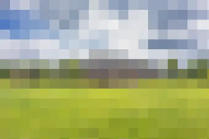 Hoeksterpaed 15 Hurdegaryp thumbnail 8