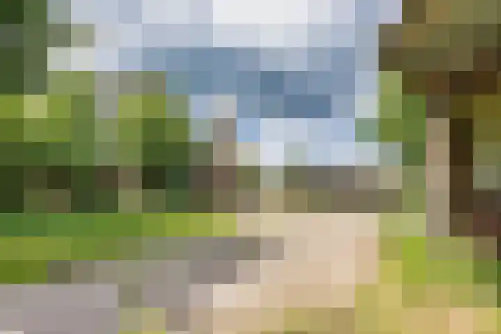 Hoeksterpaed 15 Hurdegaryp thumbnail 9
