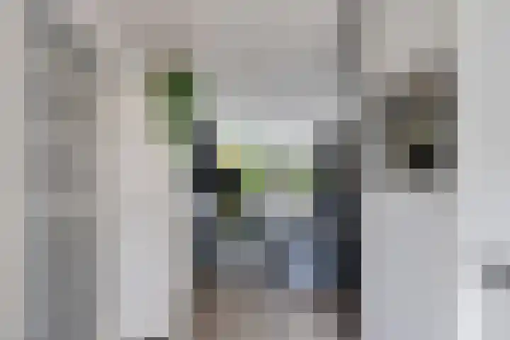 Office photo of Hoekstra en Van Eck Makelaars Almere