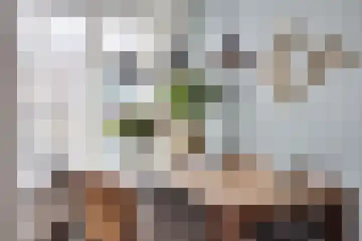 Hoekstraat 1 a Schaijk thumbnail 13