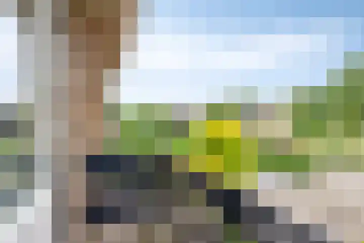 Hoekstraat 1 a Schaijk thumbnail 25