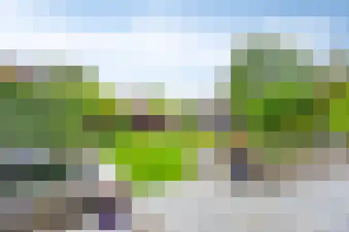 Hoekstraat 1 a Schaijk thumbnail 39