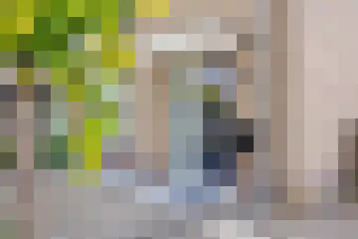 Hoekstraat 1 a Schaijk thumbnail 4