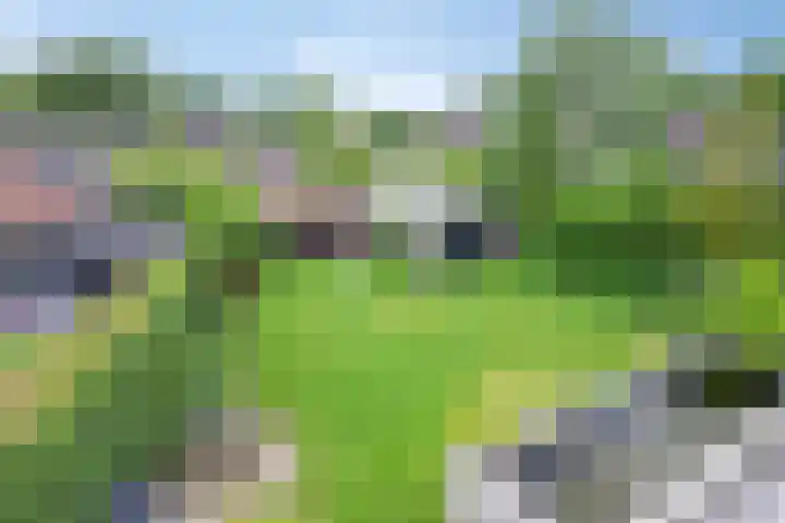 Hoekstraat 1 a Schaijk thumbnail 40