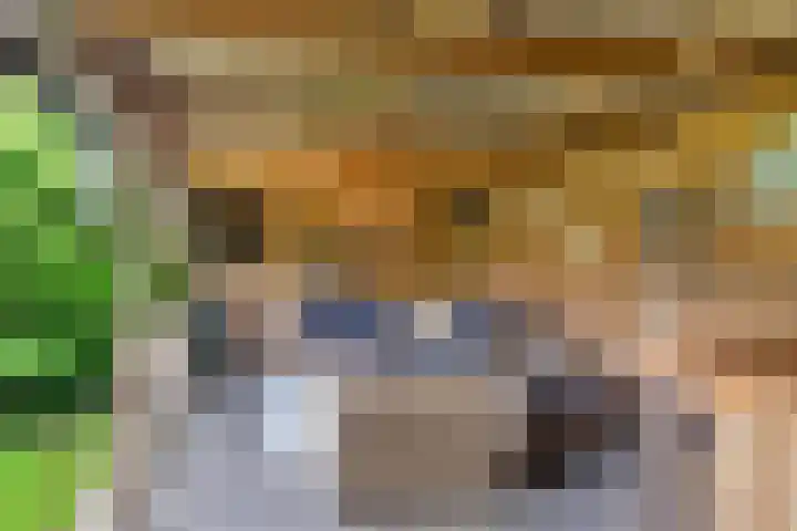 Hoekstraat 1 a Schaijk thumbnail 48