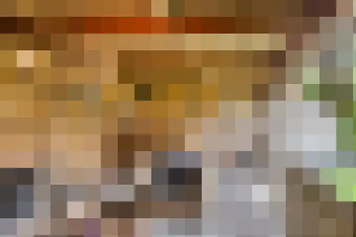 Hoekstraat 1 a Schaijk thumbnail 49