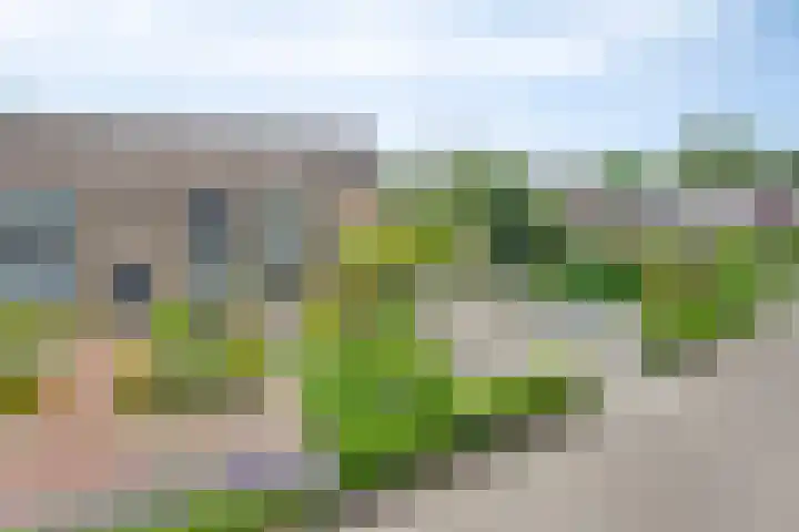 Hoekstraat 1 a Schaijk thumbnail 52